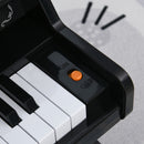 Mini Pianoforte Giocattolo per Bambini  25 Tasti in ABS Nero-8