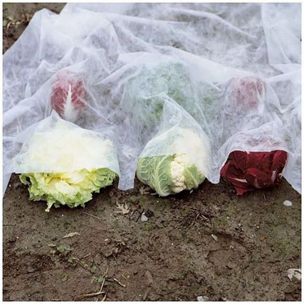 Schutzschleier für Gemüse und Obst 1,6x2m in Vlies Kupferweiß online