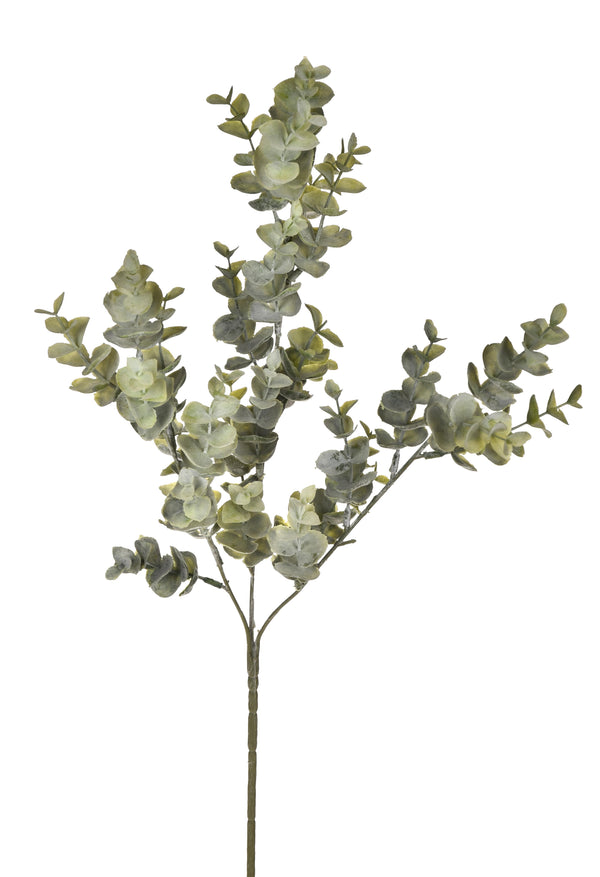 Set mit 8 künstlichen Eukalyptuszweigen, bestehend aus 3 Zweigen, Höhe 67 cm, grün sconto