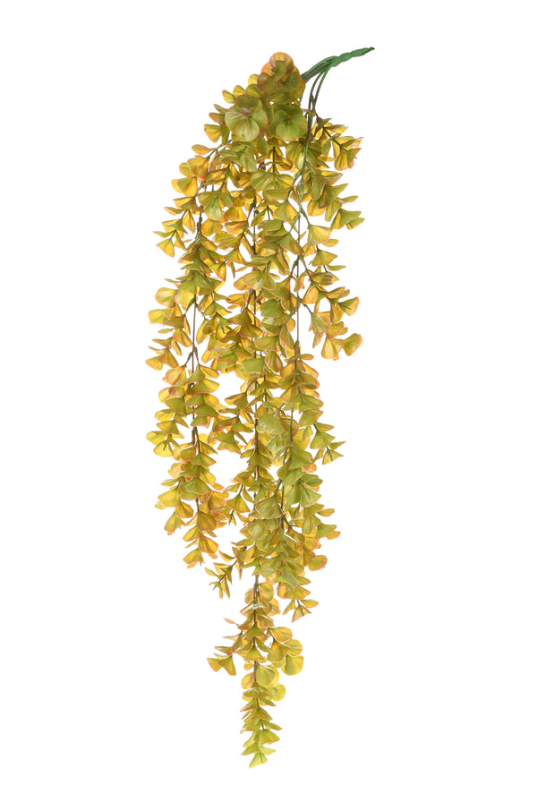 acquista Set mit 4 hängenden Crssula-Kunstpflanzen, Höhe 80 cm, grün