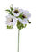 Set 8 künstliche Anemonenblumen, bestehend aus 3 Blumen, Höhe 46 cm, weiß