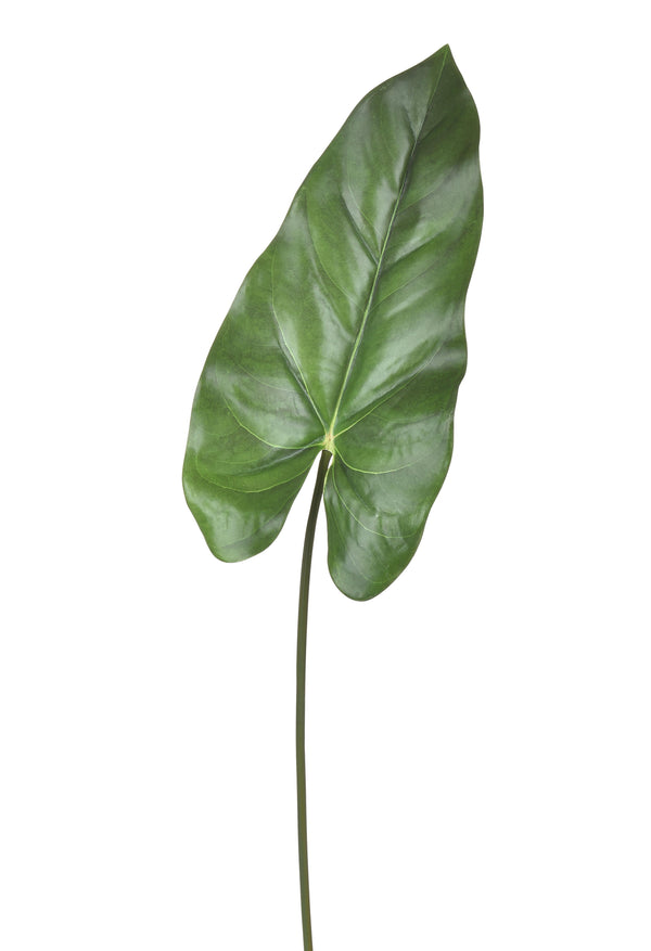 acquista Set 8 künstliche Calla-Blätter, Höhe 79 cm, grün
