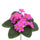 Set mit 12 künstlichen Veilchensträuchern, Höhe 21 cm, Rosa