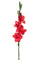 Set 4 künstliche Gladiolenblumen Höhe 85 cm Rot