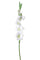 Set mit 4 künstlichen Gladiolenblumen, Höhe 85 cm, weiß