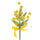Set mit 24 künstlichen Mimosen-Picks mit Schleife, Höhe 19 cm, gelb