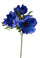 Set 8 künstliche Anemonenblumen, bestehend aus 3 Blumen, Höhe 46 cm, blau