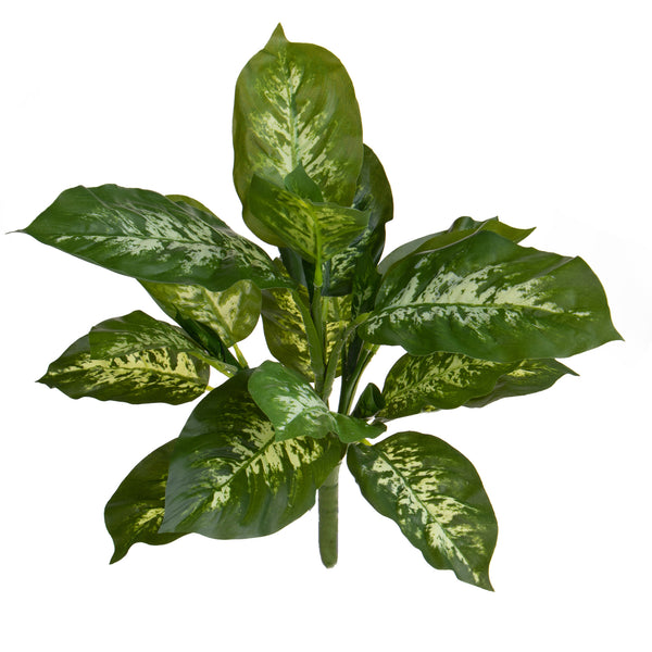online Set 2 Künstliche Diffenbachia für 22 Blätter H.38 cm Grün