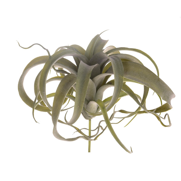 acquista Set 2 künstliche Tillandsien mit 23 Blättern Höhe 25 cm grün