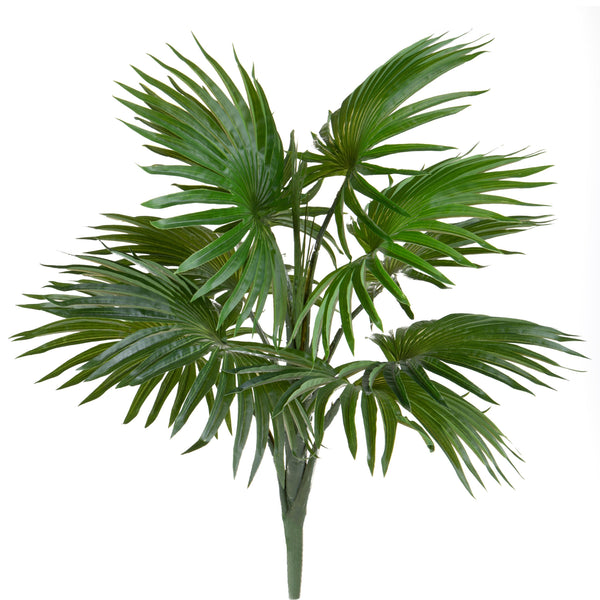 Künstliche Chamarons mit 10 Blättern, Höhe 61 cm, grün sconto