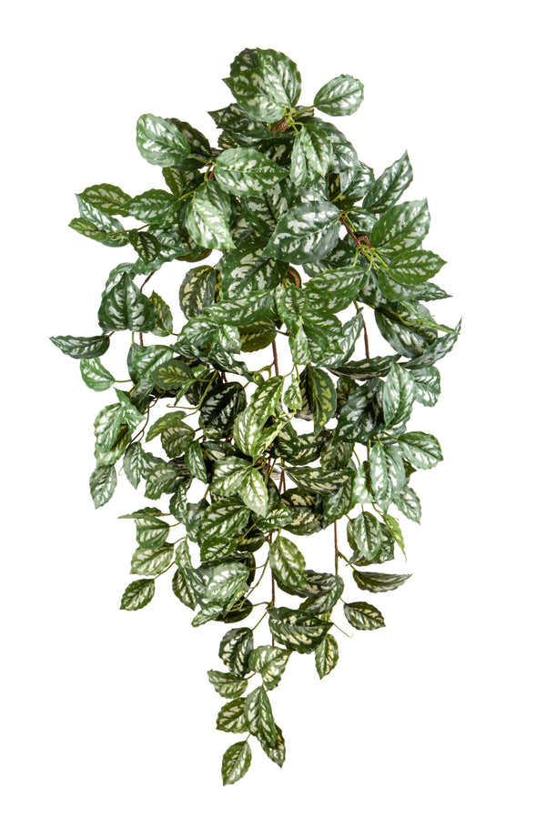 Kunstpflanze von Pilea Cadierei 9 Äste mit 185 Blättern Höhe 79 cm grün online