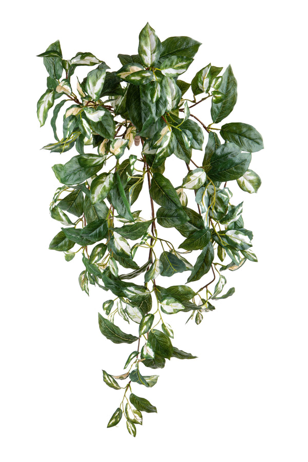 online Künstlicher Hoya-Strauch mit 186 Blättern, 9 Ästen, Höhe 71 cm, grün