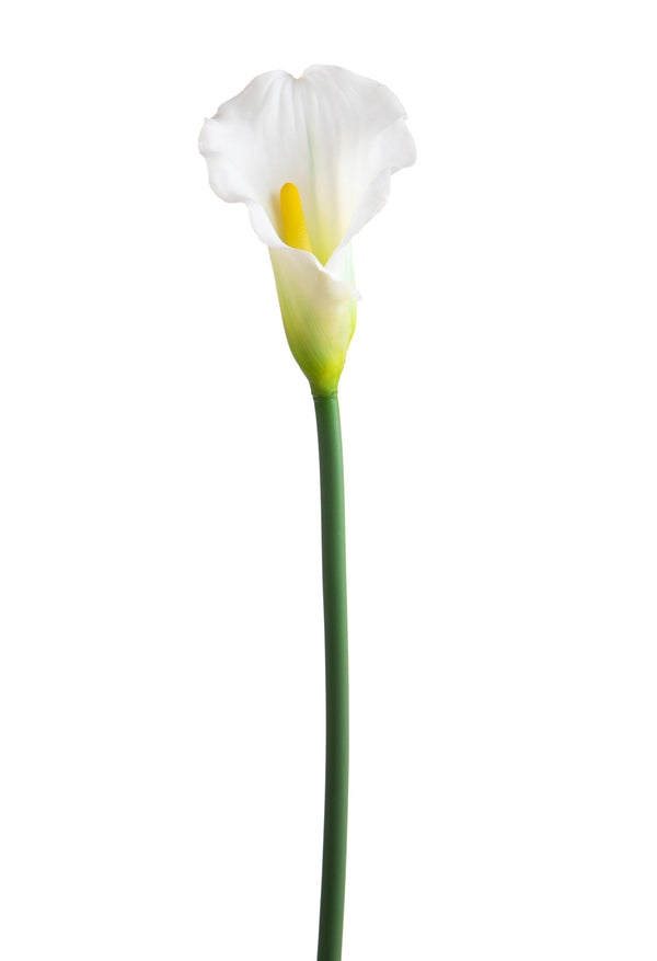 sconto Set mit 12 künstlichen Calla-Blumen einzeln, Höhe 68 cm, weiß