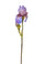 Set 4 Iris Bestehend aus 2 Kunstblumen Höhe 85 cm