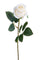 Set mit 12 künstlichen Rosen Knospe 65 cm weiß