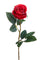 Set mit 12 künstlichen Rosen Boccio 65 cm rot