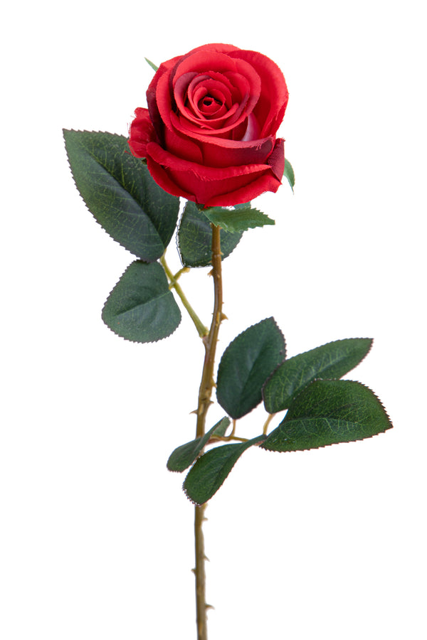 online Set mit 12 künstlichen Rosen Boccio 65 cm rot