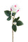 Set mit 12 künstlichen Rosen Knospe 65 cm Beige