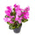 Set 2 Künstliche Alpenveilchen mit Topfhöhe 32 cm Rosa