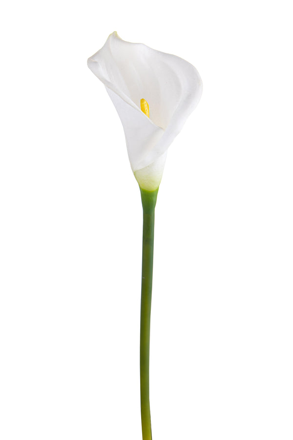 Set mit 8 künstlichen Calla-Blumen, halboffen, Höhe 66 cm, weiß sconto