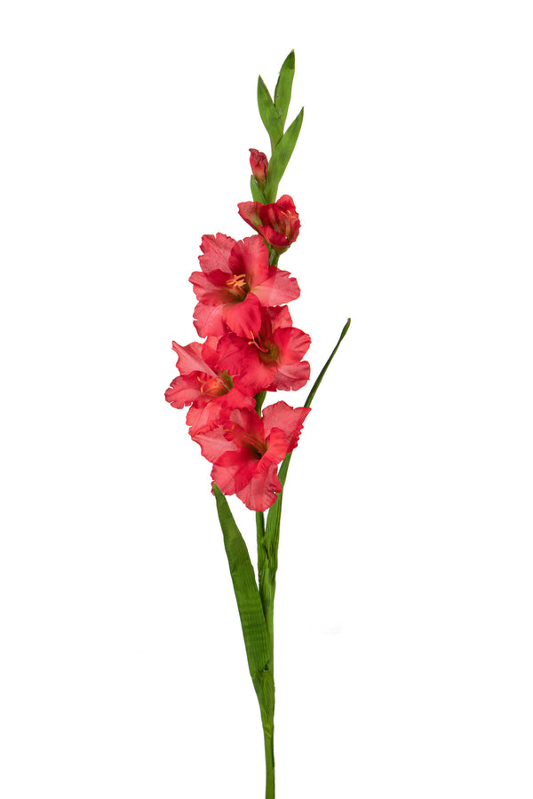 acquista Set 8 künstliche Gladiolenblüten Mini Höhe 74 cm Rot