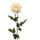 Set mit 6 künstlichen Rosen Calista Höhe 72 cm