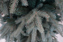 Albero di Natale Artificiale 240 cm 60 Rami con Tronco Pino Adamello Verde-2