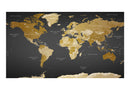 Carta da Parati Fotomurale XXL - World Map - Modern Geography II 500x280 cm Erroi-2