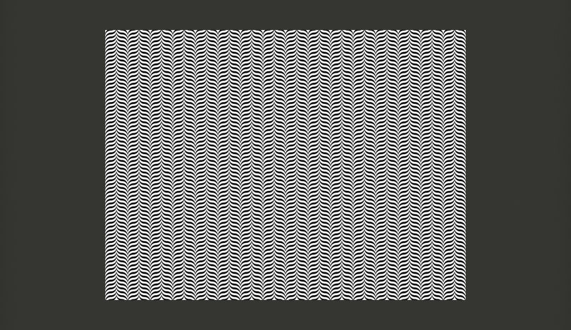 Fotomurale - Black-And-White Illusion 350X270 cm Carta da Parato Erroi-2