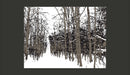 Fotomurale - Alberi - Autunno 350X270 cm Carta da Parato Erroi-2