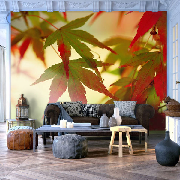 Fototapete - Blätter in Herbstfarben Erroi Wallpaper prezzo