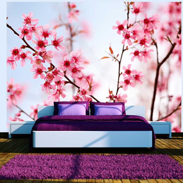 Fototapete - Symbole Japans Sakura Flowers Wallpaper Erroi online