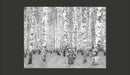 Fotomurale - Isolamento Della Betulla 200X154 cm Carta da Parato Erroi-2