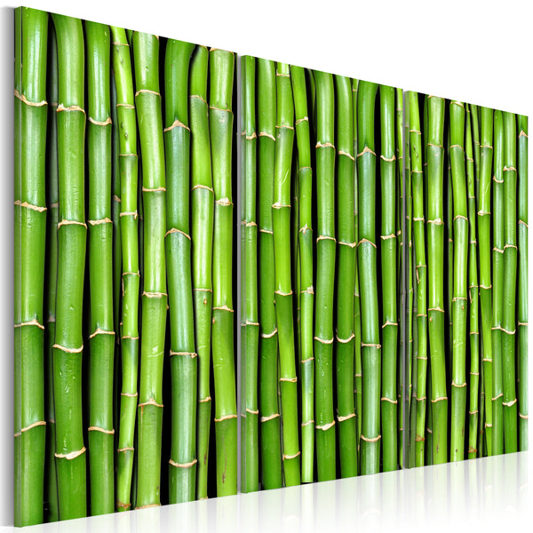 online Rahmen - Bambuswand Erroi