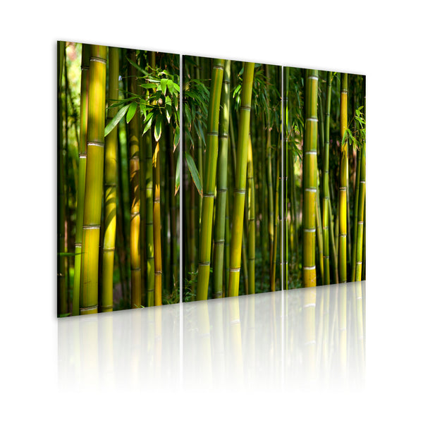 prezzo Rahmen - Bambus und das grüne Erroi