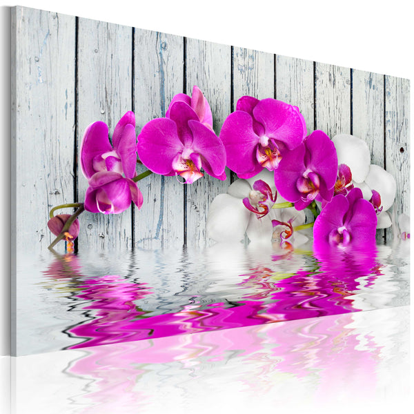prezzo Leinwandbild - Harmonie der Erroi-Orchidee