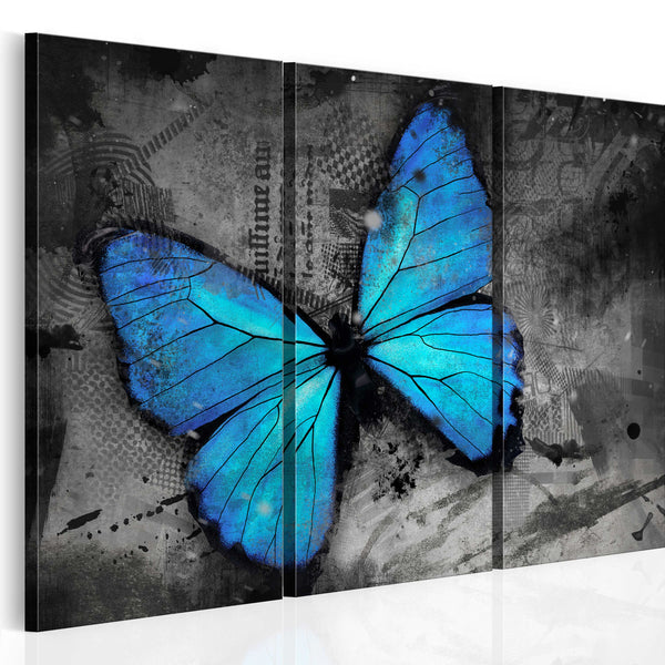 Framework - Studie des Schmetterlings - Triptychon Erroi acquista