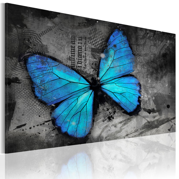 prezzo Rahmen - Studie eines Schmetterlings 60x40cm Erroi