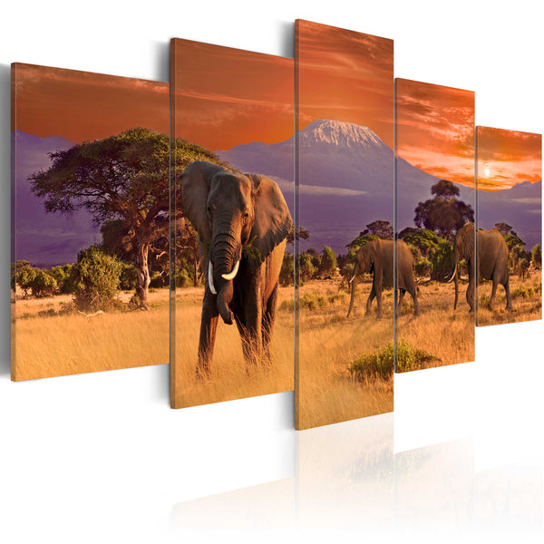 Poster - Afrika-Elefanten Erroi prezzo