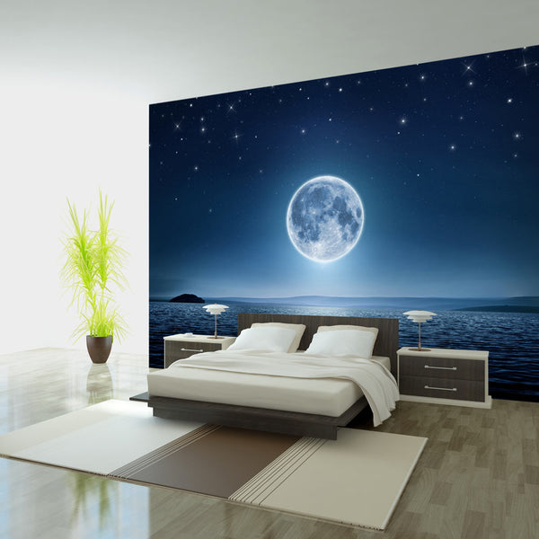 Fototapete - Moonlit Night Wallpaper Erroi acquista