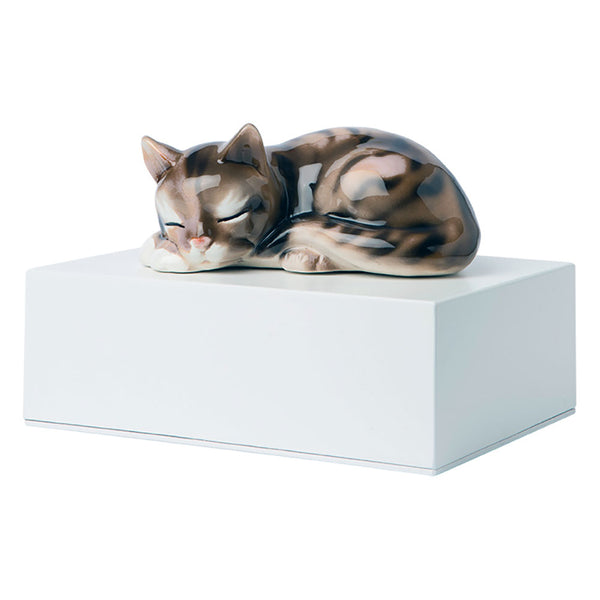 online Aschenurne aus Holz mit Miniaturkatze aus Keramik 10x20x15cm GMF Weiß