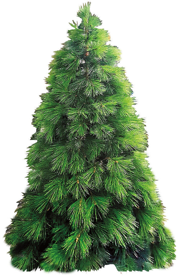 Künstlicher Weihnachtsbaum Vesuvio Lux Green, verschiedene Größen acquista