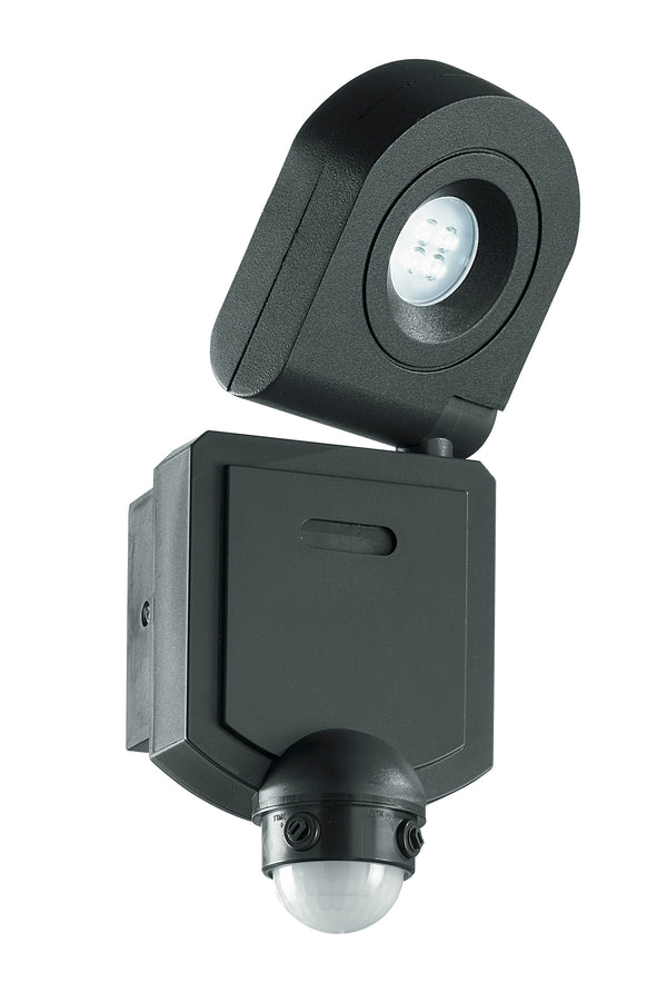 acquista Einstellbarer schwarzer Projektor mit externem LED-Sensor 10 Watt natürliches Licht Intec LED-SHEDAR-S/10W