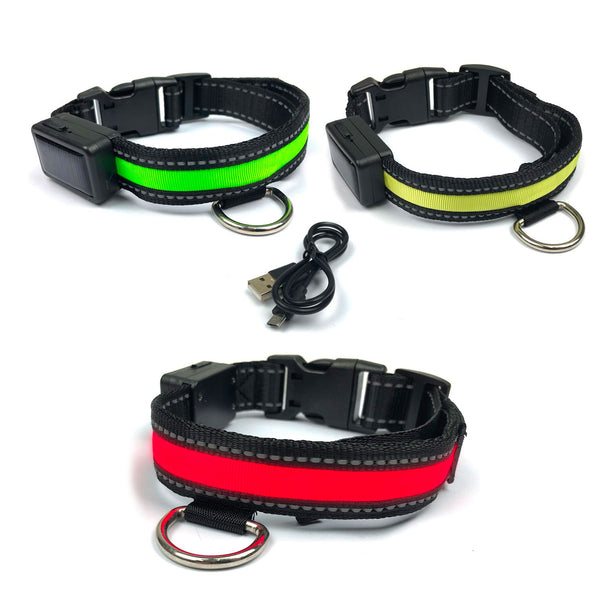 LED-Lichthalsband Größe M für Hunde mit Solar- und USB-Aufladung Rot prezzo