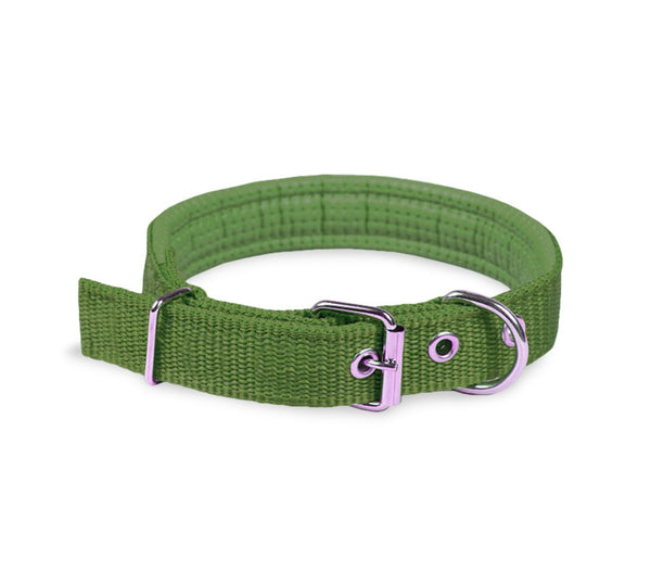 Phoenix Hundehalsband mit verstellbarer Schnalle Small Breed aus grünem, verstellbarem Nylon acquista