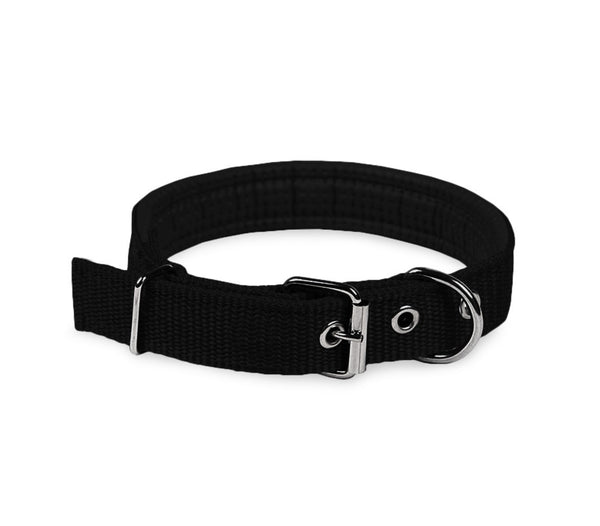 acquista Phoenix Hundehalsband mit verstellbarer Schnalle für kleine Rassen aus schwarzem, verstellbarem Nylon