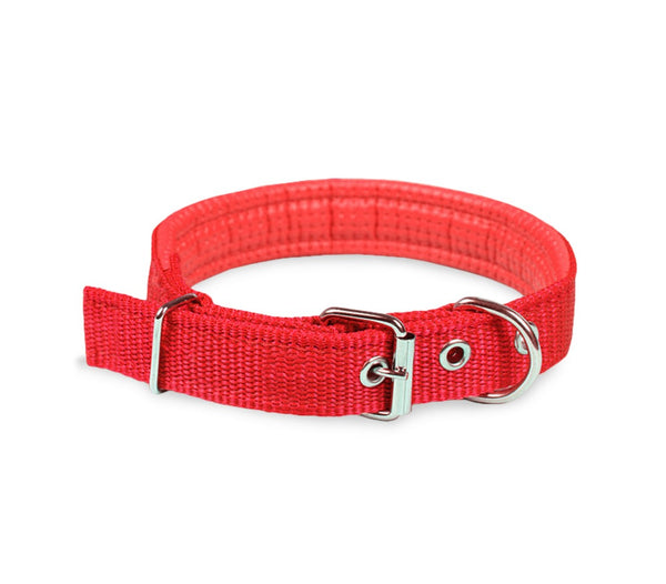 Phoenix Hundehalsband mit verstellbarer Schnalle für kleine Rassen aus rotem, verstellbarem Nylon acquista