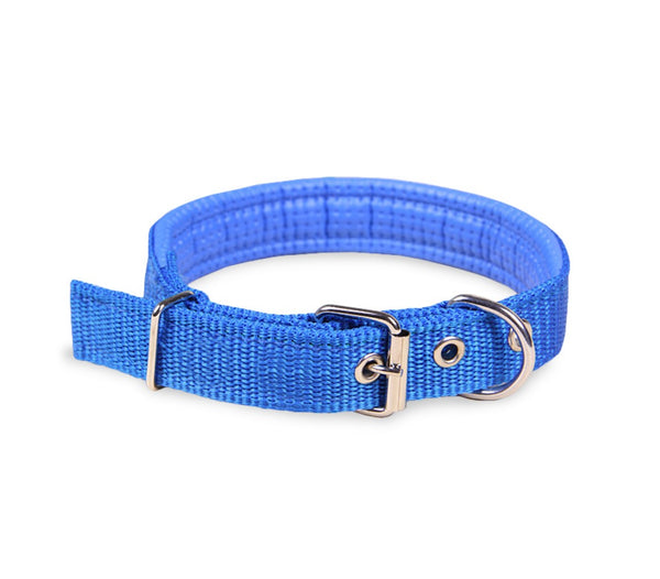 Phoenix Hundehalsband mit verstellbarer Schnalle für kleine Rassen aus hellblauem, verstellbarem Nylon prezzo