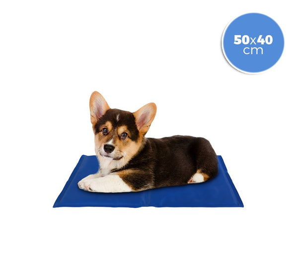 online Kühlmatte 40x50 cm mit Erfrischungsgel für kleine Hunde