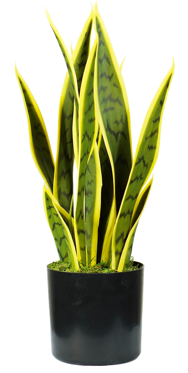 Kunstpflanze Sansevieria H45 cm mit grünem Topf acquista